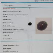 OPALE NOIRE PRECIEUSE 3.95cts !