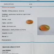 OPALE NOBLE PRECIEUSE 21.96cts !