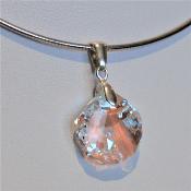 Coquillage Cristal